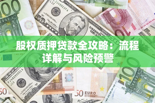 武汉股权质押贷款全攻略：流程详解与风险预警
