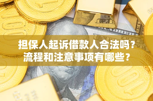 武汉担保人起诉借款人合法吗？流程和注意事项有哪些？
