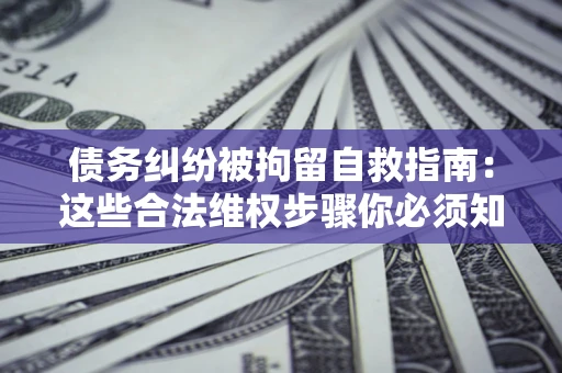 武汉债务纠纷被拘留自救指南：这些合法维权步骤你必须知道！