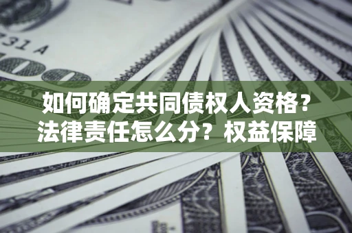 武汉如何确定共同债权人资格？法律责任怎么分？权益保障技巧揭秘！