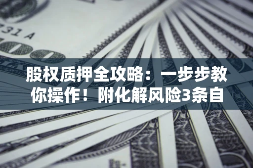 武汉股权质押全攻略：一步步教你操作！附化解风险3条自救法则