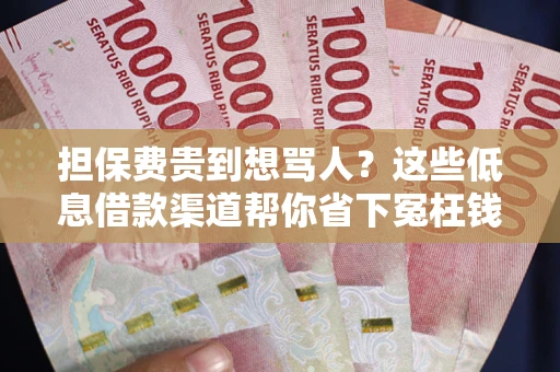 武汉担保费贵到想骂人？这些低息借款渠道帮你省下冤枉钱