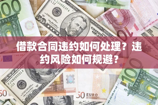 武汉借款合同违约如何处理？违约风险如何规避？