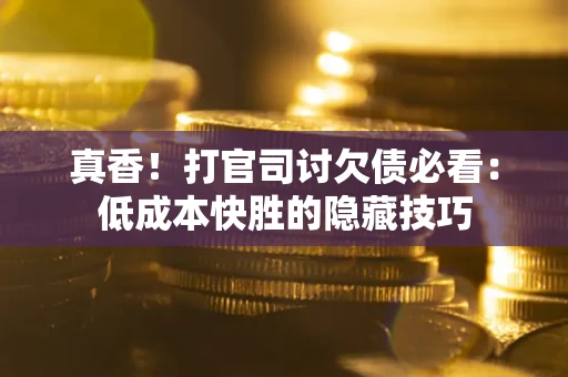 武汉真香！打官司讨欠债必看：低成本快胜的隐藏技巧