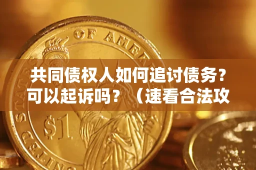 武汉共同债权人如何追讨债务？可以起诉吗？（速看合法攻略）