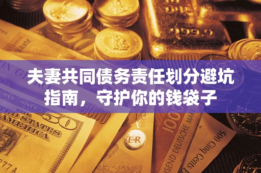 武汉夫妻共同债务责任划分避坑指南，守护你的钱袋子