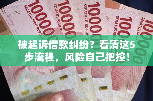 武汉被起诉借款纠纷？看清这5步流程，风险自己把控！