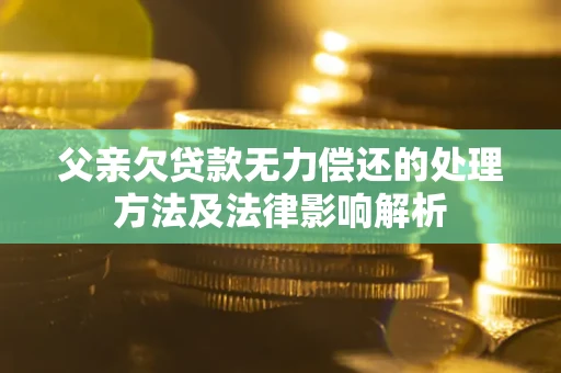 武汉父亲欠贷款无力偿还的处理方法及法律影响解析
