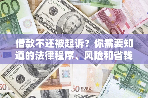 武汉借款不还被起诉？你需要知道的法律程序、风险和省钱技巧